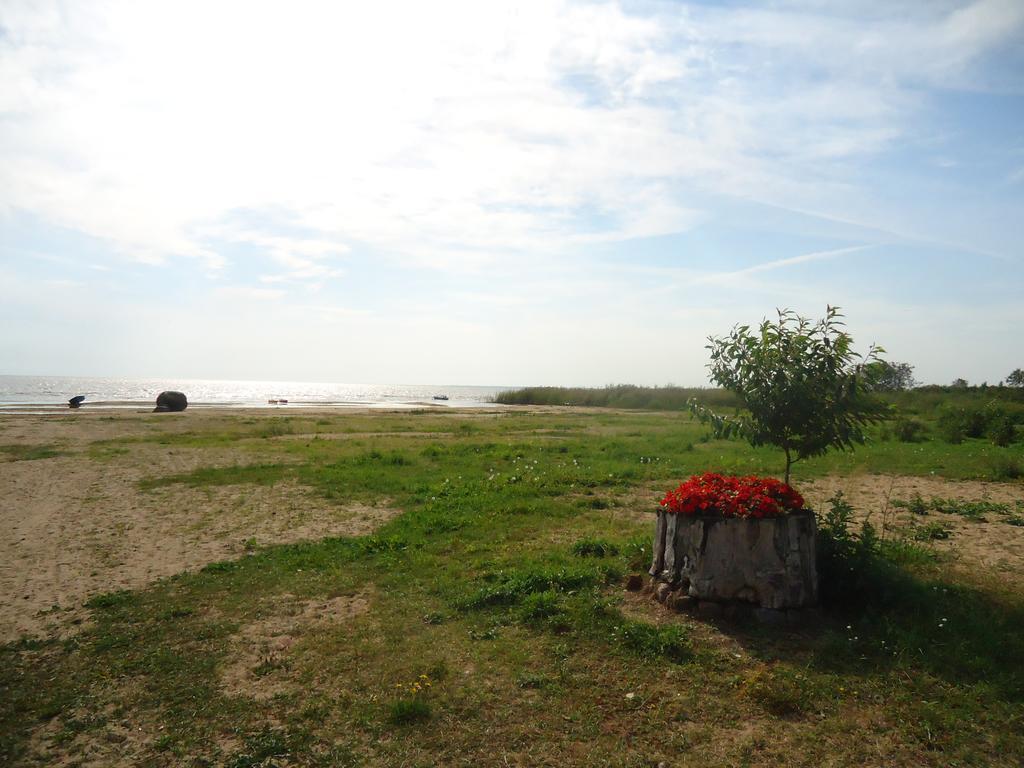 Paeevatalu Camping Ξενοδοχείο Vilusi Εξωτερικό φωτογραφία